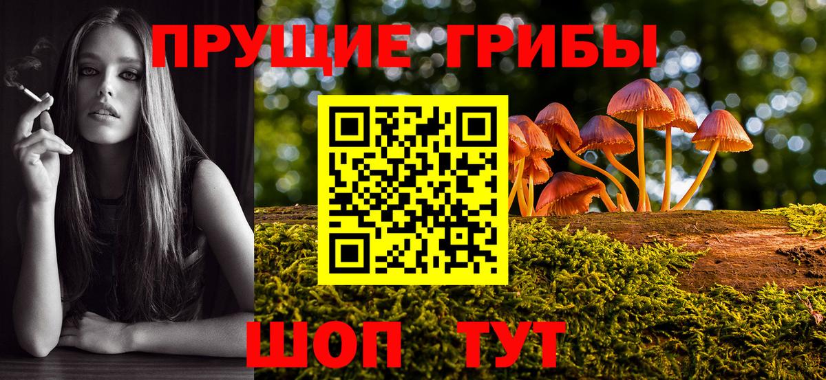 Галлюциногенные грибы GOLDEN TEACHER  Вход с VPN  Галлюциногенные грибы Psilocybe  Удомля 